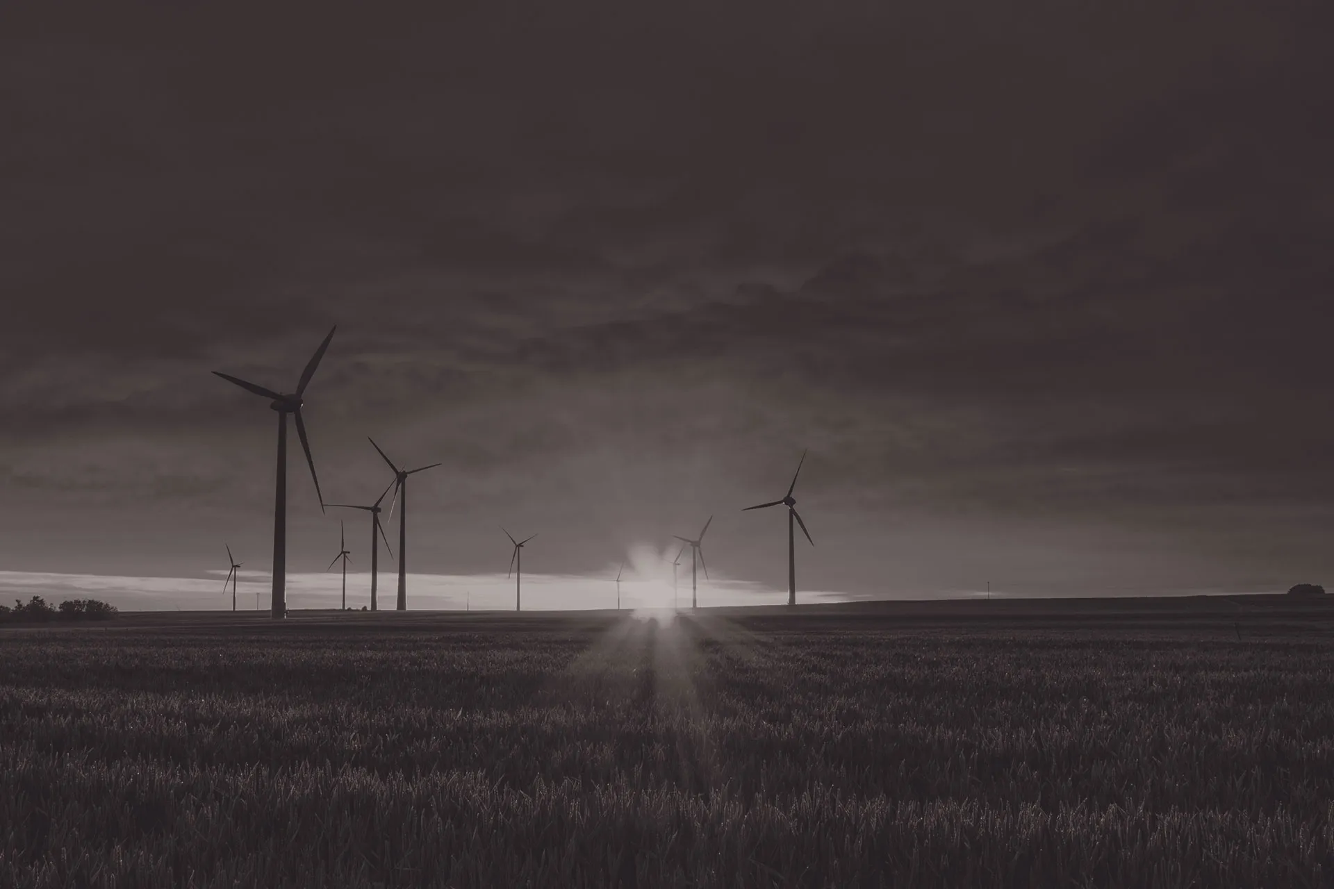 A dark background with windmills in a field